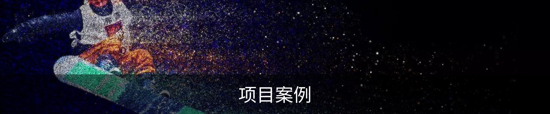 项目案例